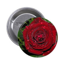 Red Rose #2 Pinback Buttons