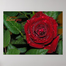 Red Rose #2 Print