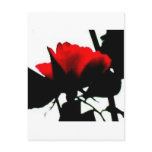 Red rose and black stem post card