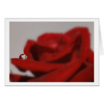 red rose and water drop grußkarten