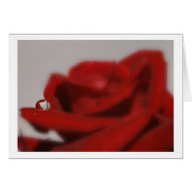 red rose and water drop grußkarten