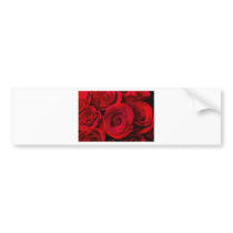 Red Rose Bouquet Dream Bumper Sticker