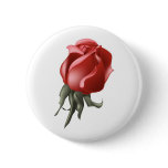 Red Rose Bud