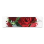 Red Rose Bumper Sticker bumper stickers