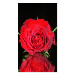 Red Rose business cards