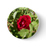 Red Rose Button