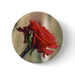 Red Rose buttons