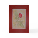 Red Rose cards