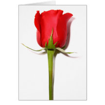 Red Rose Card