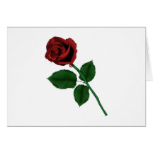 Red Rose Card