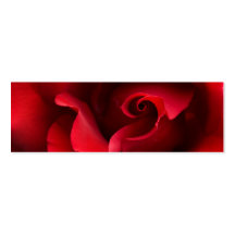 Red Rose Close-up - Customised Business Cards