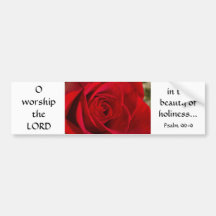 Red Rose Closeup Bumper Stickers