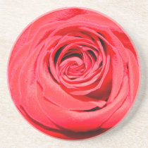 Red rose coaster coasters