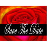 Red Rose Flower Art Photo Sculpture photo sculptures