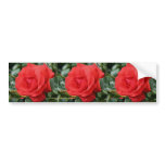 Red Rose Flower Bumper Sticker Car Art