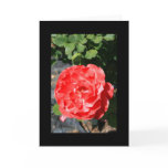 Red Rose Flower Greeting Card and Note Card