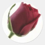 Red Rose Flower on White Round Sticker