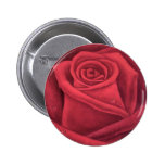 Red Rose Flower Painting - Multi Button