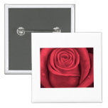 Red Rose Flower Painting - Multi Pinback Button