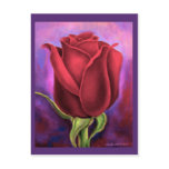Red Rose Flower Painting - Multi postcards