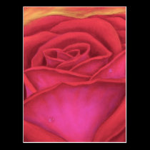 Red Rose Flower Painting - Multi postcards
