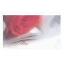 Red Rose Gift Tag
