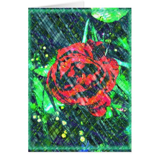 Red rose greeting card