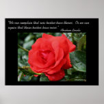 Red Rose Inspirational Flower Photo Poster Print