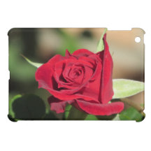 Red Rose iPad Mini Case