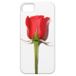Red Rose iPhone 5 Case