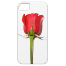 Red Rose iPhone 5 Case