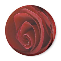 Red Rose Magnet