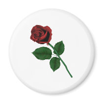 Red Rose Refrigerator Magnets