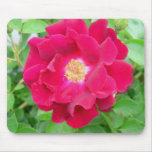 Red Rose Mousepad