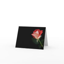 Red rose note card