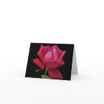 Red Rose note card