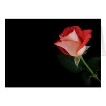 Red rose note card
