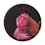Red Rose on Black Background Fridge Magnets