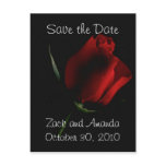 Red Rose on Black- invitation Postcards