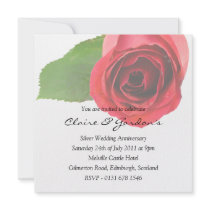 Red Rose on white Anniversary Party Invitation