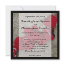 Red Rose Petals on Sand Beach Wedding