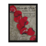 Red Rose Petals on Sand Beach Wedding