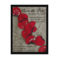Red Rose Petals on Sand Beach Wedding