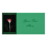 Red Rose Photo Card photo cards