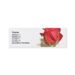 Photography Business Cards