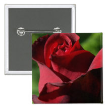 Red Rose Pinback Button