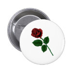 Red Rose Pinback Button