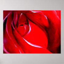 Red Rose Poster