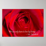 Red Rose posters