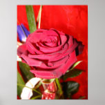 Red rose poster
